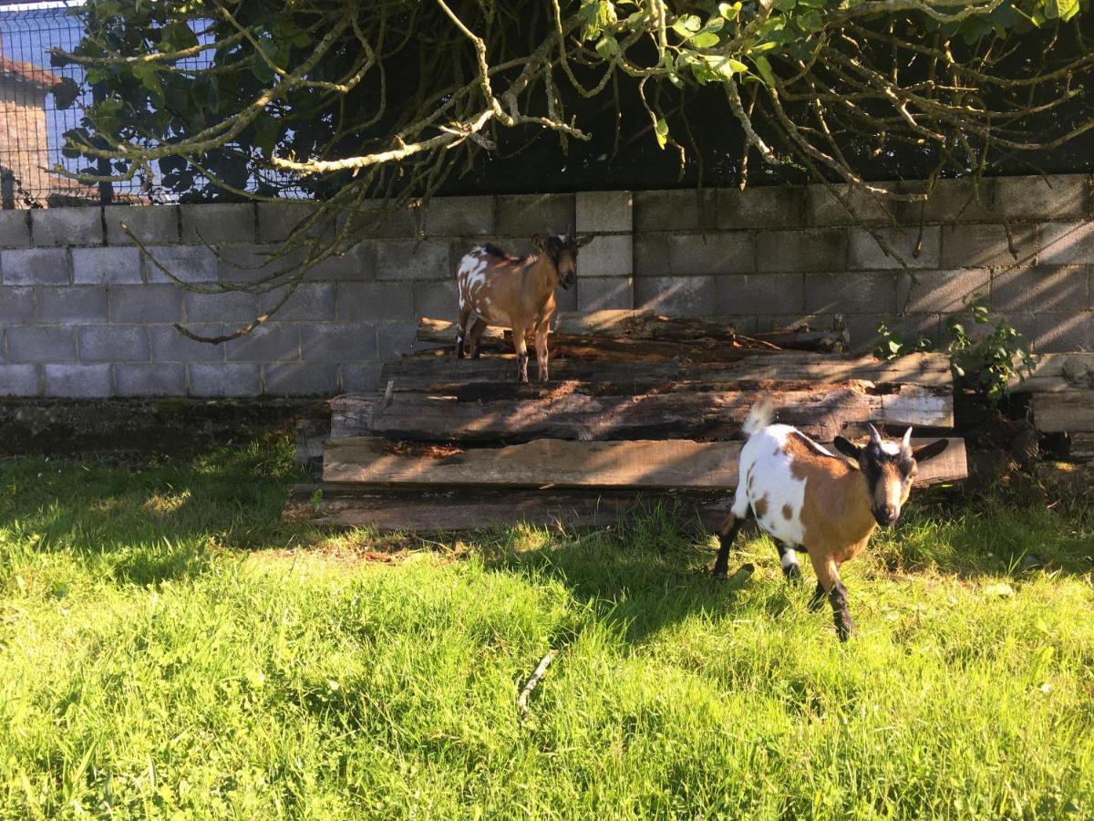 Ak-55 Rural House Konuk evi Villaviciosa  Dış mekan fotoğraf
